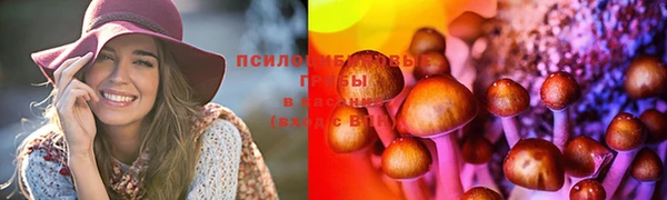 прущие крисы Балабаново
