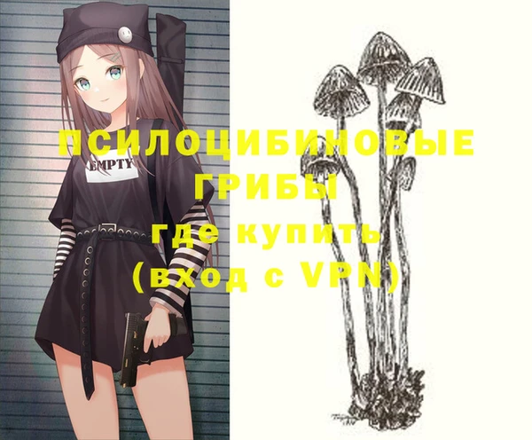 a pvp Беломорск