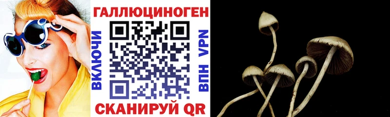Галлюциногенные грибы Cubensis  купить наркотики сайты  гидра ссылка  Гаврилов-Ям 